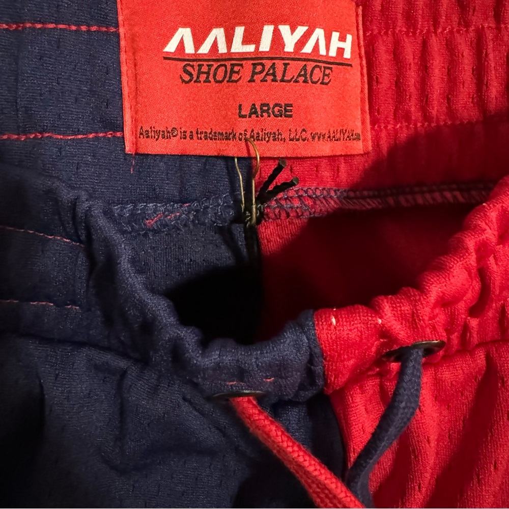 SP X AALIYAH SIGNATURE MESH MENS LIFESTYLE SHORTS - Picture 6 of 7